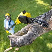Best Lawn Maintenance Plans  in Crownsville, MD